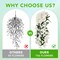 Artificial Bougainvillea Flowers for Outdoor Plant,2 pcs Faux Hanging Flowers Bougainvillea for Outside Decoration,Fake Silk UV Resistant Vines for Front Door Porch(White)
